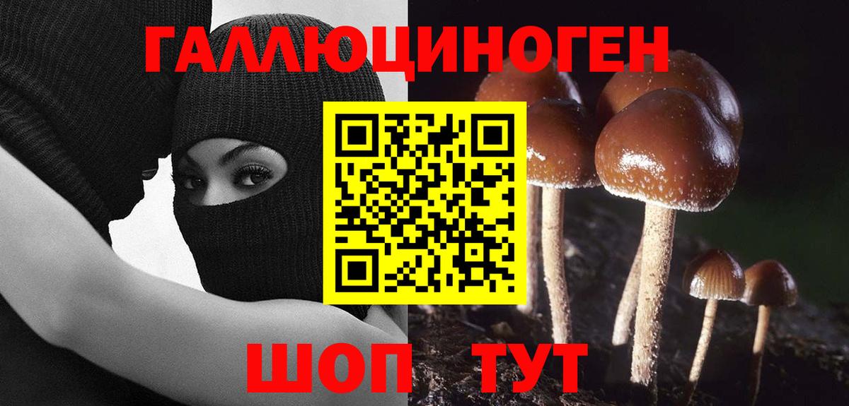 Михайловск  Псилоцибиновые грибы мухоморы  Вход с VPN 